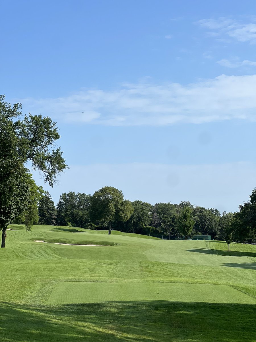 Mieske_tre's tweet photo. What aerification? @MrsMiaCon https://t.co/eY6QhCNnTU