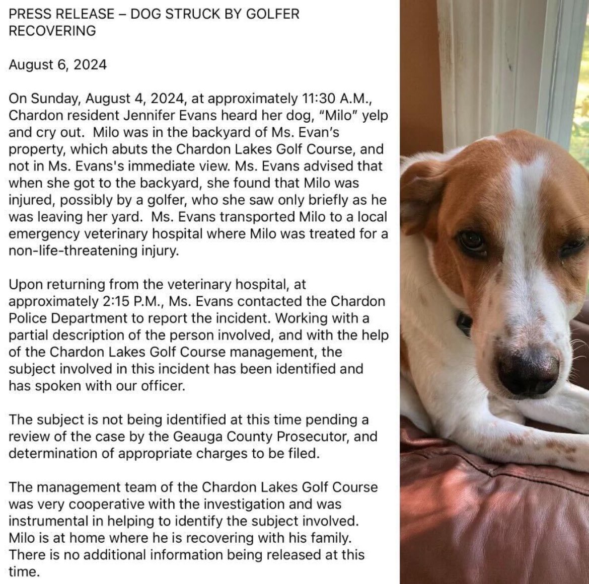 The monster who hit Milo has been found but not identified.