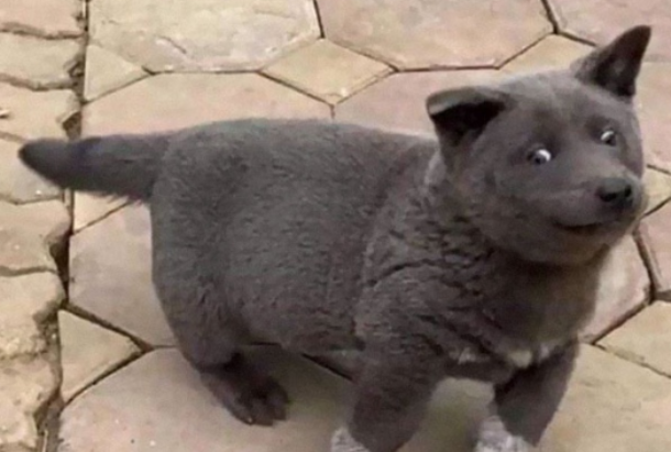 MatrixOne: Artificial intelligence helps your business develop sustainably. Experience breakthrough with <a href="/MatrixOneAI/">Orynth</a> today!