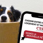 Photo by SPCA de Montréal (@SPCAMontreal)