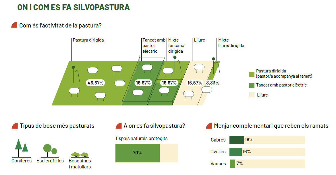 CREAF_ecologia's tweet photo. La silvopastura és aquella #pastura que es fa dins del bosc 🌳🌲 Pot ajudar a la prevenció d'incendis i, si es fa de manera extensiva, millora la biodiversitat 🌿 Com és aquesta pràctica a Catalunya? Aquí va un petit resum ✨ @sandrasauramas @ruralcat https://t.co/oLUHFAtpMV