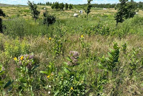 L’écologie au cœur des projets d’aménagement bit.ly/4ciXxcj