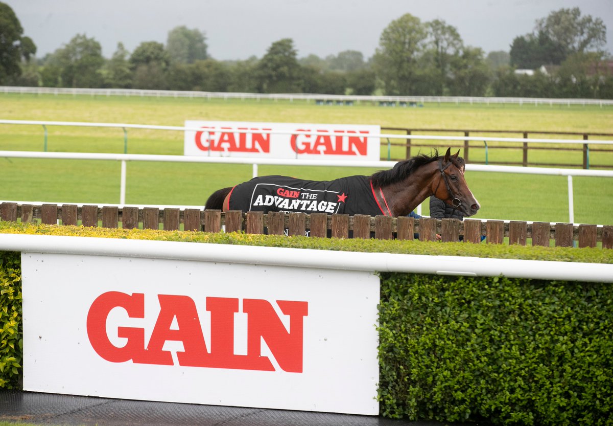 To celebrate the next leg of GAIN The Advantage Series, which takes place at Tipperary Racecourse on August 9th, enter our competition to win a GAIN Equine Nutrition gilet and two tickets!

GAIN Equine Nutrition #GAINTheAdvantage

Enter here 👉 bit.ly/3LsngDV