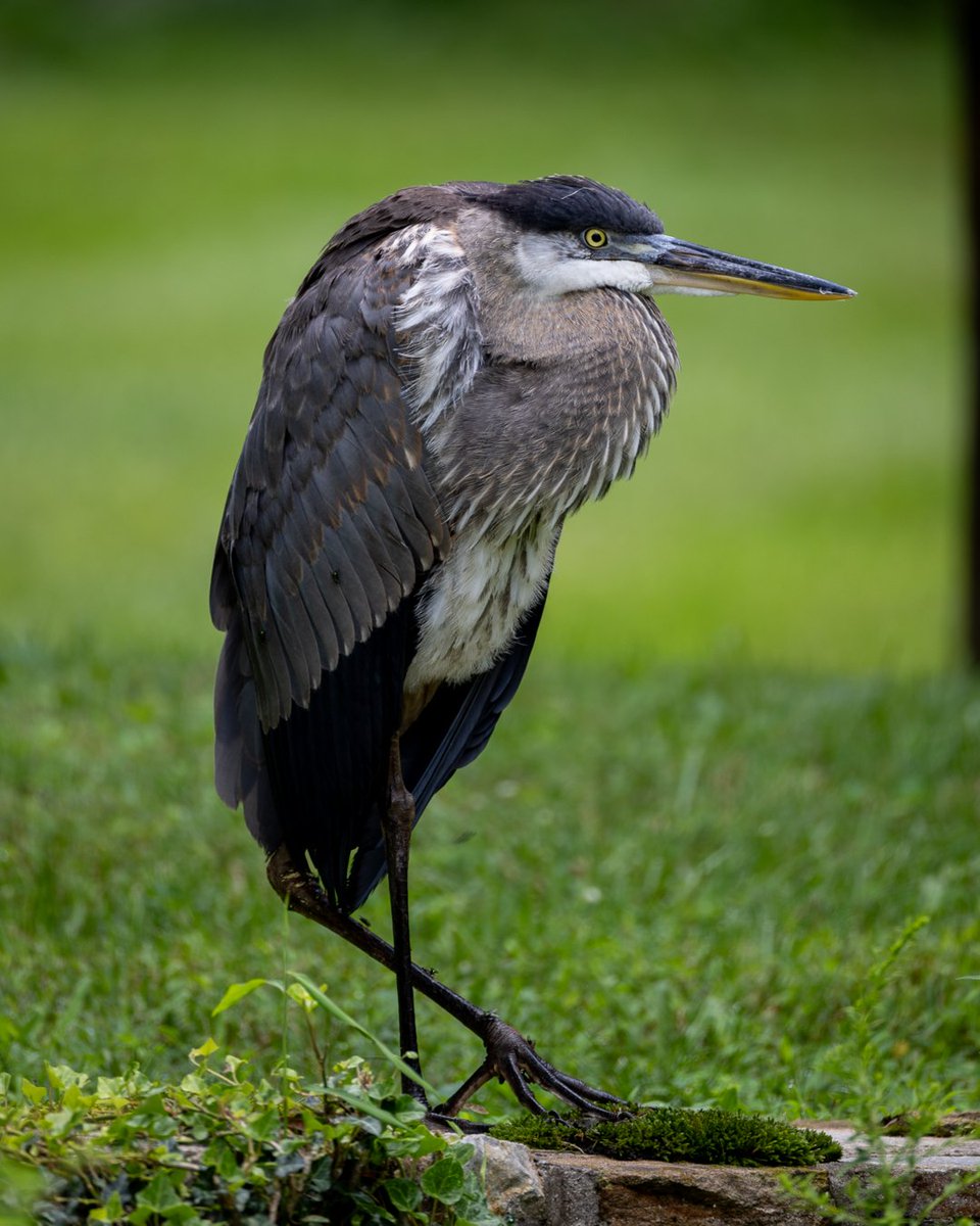 digitalturtle_'s tweet image. 