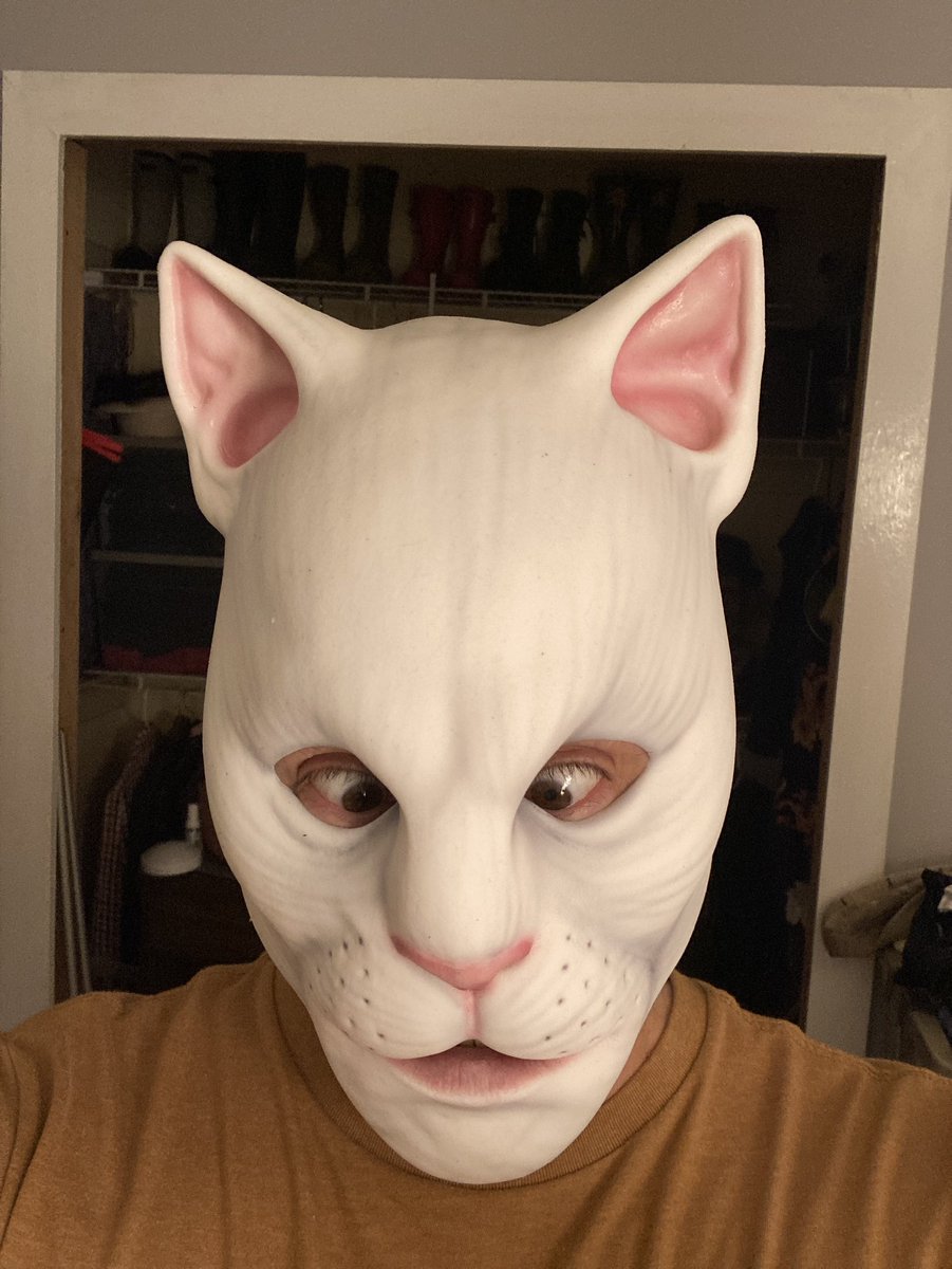 DuskySamCat's tweet image. New Kitty mask from Immortal Masks arrived yesterday. My previous post shows Flop eyeing him suspiciously, but this guy will be pleasant and friendly. The weird to whimsical ratio is leveling out!