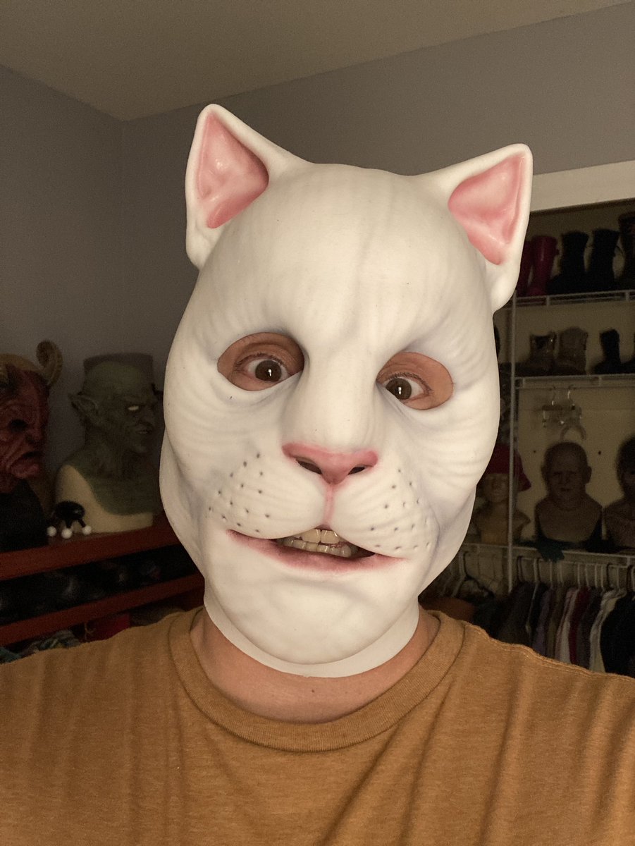 DuskySamCat's tweet image. New Kitty mask from Immortal Masks arrived yesterday. My previous post shows Flop eyeing him suspiciously, but this guy will be pleasant and friendly. The weird to whimsical ratio is leveling out!