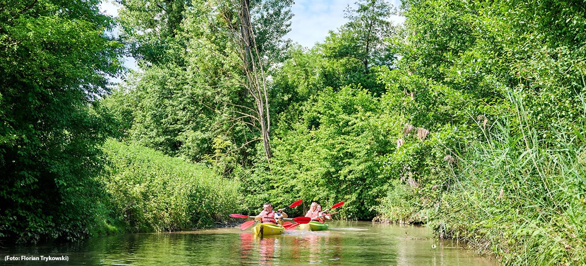 presse_rnk's tweet photo. Um Paddelspaß auf der Elsenz und auf dem Neckar geht es in unserem heutigen #Ferientipp. Kajaks, Kanus oder Kanadier für besondere Naturerlebnisse können in Neckargemünd, Edingen-Neckarhausen und Zuzenhausen geliehen werden. https://t.co/NyNeXNJder https://t.co/3UcUrI7r19