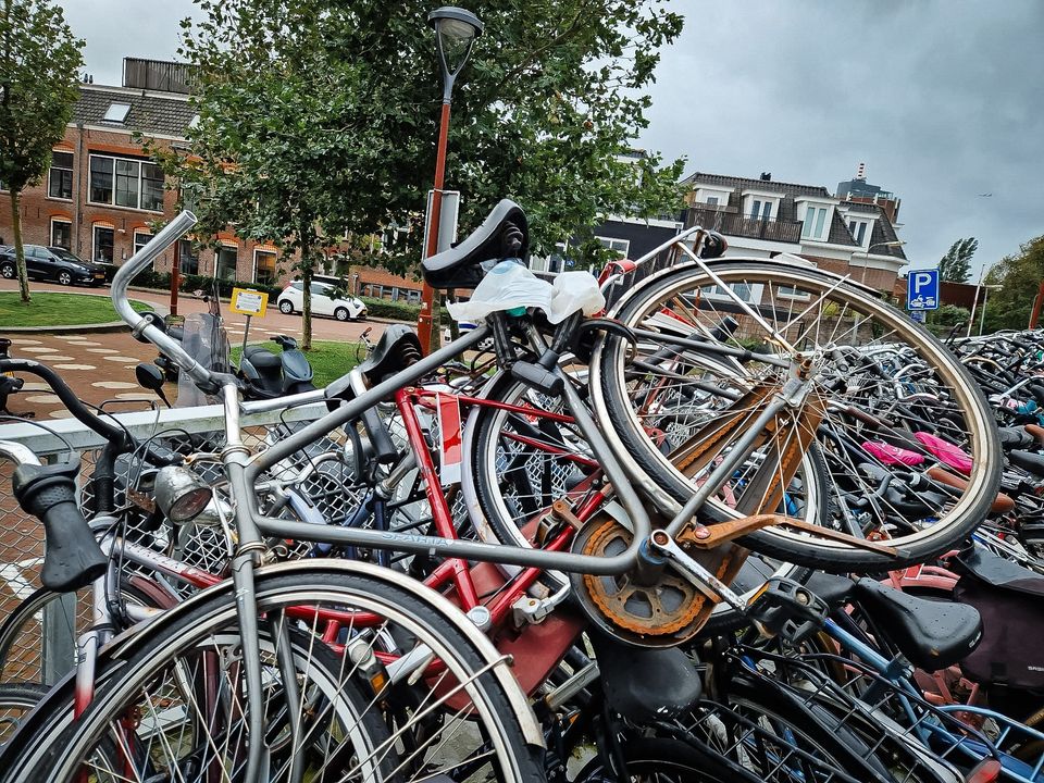 Op 7 en 8 augustus worden de wrak- en weesfietsen opgehaald die Handhaving Alkmaar heeft gestickerd bij het station en het kermisgebied in de binnenstad.

Samen zorgen we voor een prettige en veilige fietsomgeving in Alkmaar! 🚴‍♀️