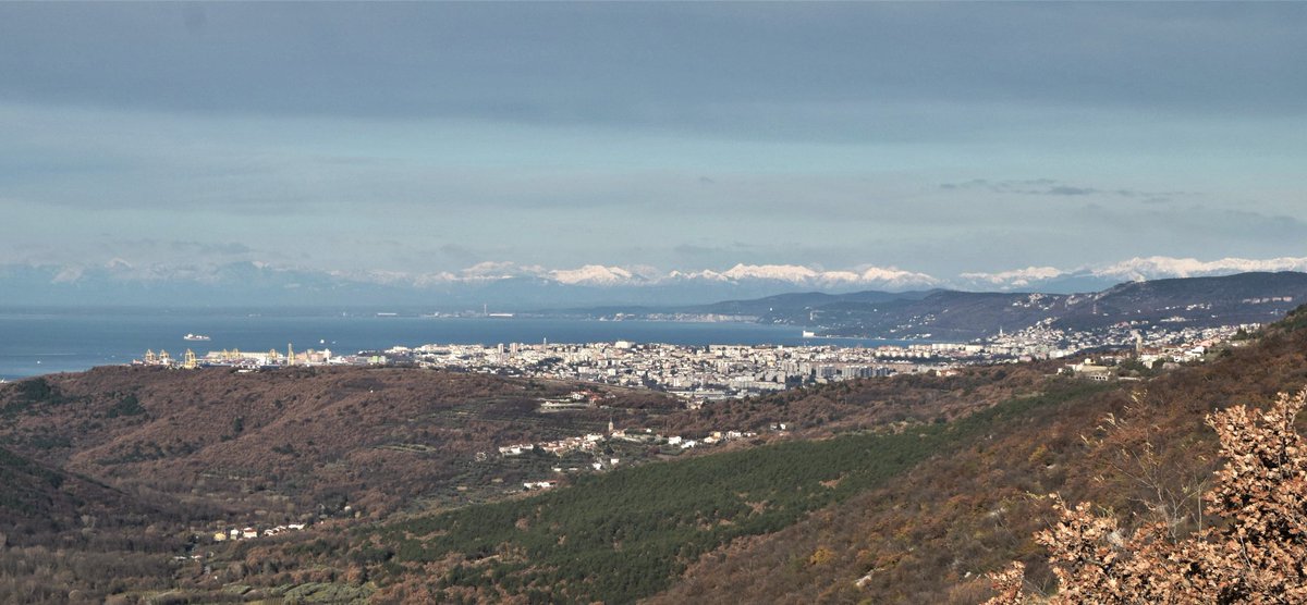 Ana Novak tweet media