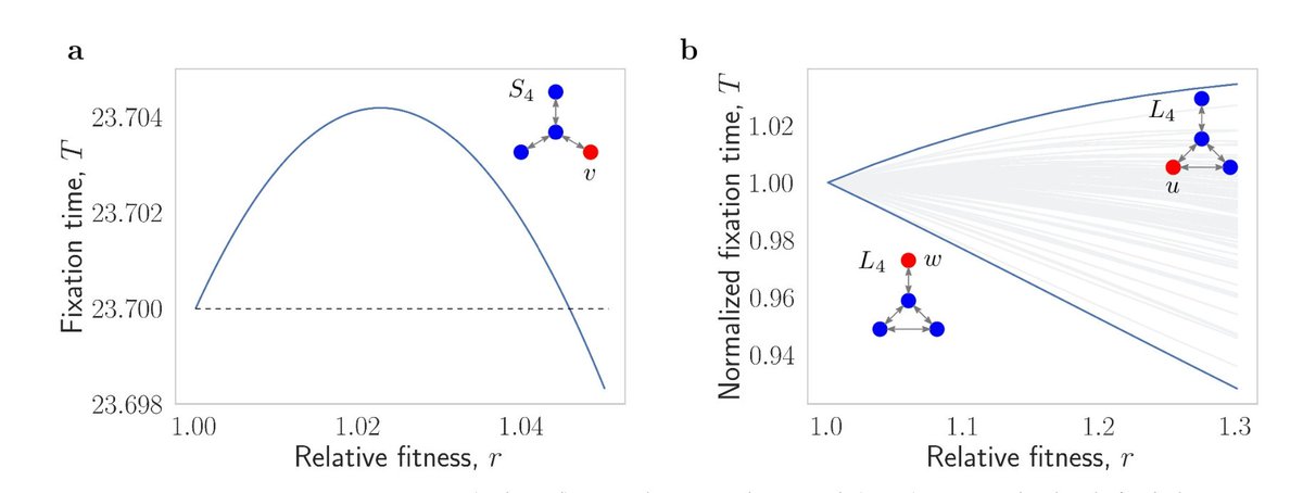 Martin A. Nowak (@drmanowak) on Twitter photo Somewhat surprising: increasing the relative fitness of an invader can increase its fixation time on some population structures <a href="/brewster_tw/">David Brewster</a>
dx.plos.org/10.1371/journa… Somewhat surprising: increasing the relative fitness of an invader can increase its fixation time on some population structures <a href="/brewster_tw/">David Brewster</a>
dx.plos.org/10.1371/journa…