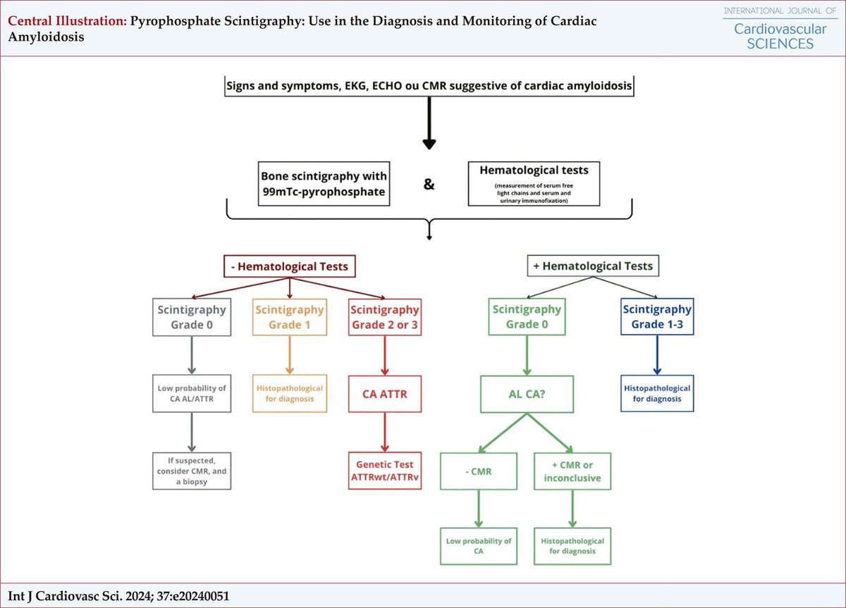 Claudio Tinoco Mesquita (@ctinocomesquita) on Twitter photo PYP scan is key in Amyloidosis diagnosis ! Review published <a href="/onlineIJCS/">International Journal of Cardiovascular Sciences</a> ! 👉🏻 ijcscardiol.org/article/pyroph… <a href="/alexsfelixecho/">Alex Felix</a> <a href="/NeivaMaciel_doc/">Neiva Maciel</a> <a href="/estelais/">Dra. Isabel Carvajal.</a> <a href="/MyASNC/">ASNC Society</a> <a href="/DICSBC/">DIC - SBC</a> <a href="/ghoshhajra/">Brian with the Good Dictations</a> <a href="/pabeda1/">Sergio Kaiser MD, PhD, FACC, FESC 🇧🇷🇮🇱🇷🇴🇺🇦</a> <a href="/ap08891516/">Amalia Peix</a> <a href="/Lps_Marcella/">Marcella ⚕️</a> <a href="/secardiologia/">Soc Esp Cardiología</a> <a href="/ISA_Amyloidosis/">The International Society Of Amyloidosis</a> <a href="/iaeaorg/">IAEA - International Atomic Energy Agency ⚛️</a> #amyloidosis <a href="/glauciamoraeso1/">glauciamoraesoliveira@gmail.com</a> PYP scan is key in Amyloidosis diagnosis ! Review published <a href="/onlineIJCS/">International Journal of Cardiovascular Sciences</a> ! 👉🏻 ijcscardiol.org/article/pyroph… <a href="/alexsfelixecho/">Alex Felix</a> <a href="/NeivaMaciel_doc/">Neiva Maciel</a> <a href="/estelais/">Dra. Isabel Carvajal.</a> <a href="/MyASNC/">ASNC Society</a> <a href="/DICSBC/">DIC - SBC</a> <a href="/ghoshhajra/">Brian with the Good Dictations</a> <a href="/pabeda1/">Sergio Kaiser MD, PhD, FACC, FESC 🇧🇷🇮🇱🇷🇴🇺🇦</a> <a href="/ap08891516/">Amalia Peix</a> <a href="/Lps_Marcella/">Marcella ⚕️</a> <a href="/secardiologia/">Soc Esp Cardiología</a> <a href="/ISA_Amyloidosis/">The International Society Of Amyloidosis</a> <a href="/iaeaorg/">IAEA - International Atomic Energy Agency ⚛️</a> #amyloidosis <a href="/glauciamoraeso1/">glauciamoraesoliveira@gmail.com</a>
