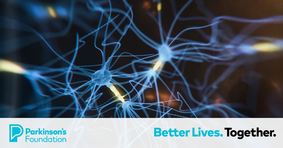 Parkinson’s disease is caused by the death of neurons that produce dopamine. A new study is the first to identify a brain receptor called GUCY2C as a potential way to fight dopamine loss. #ParkinsonsDisease #Dopamine bit.ly/4dstRKC