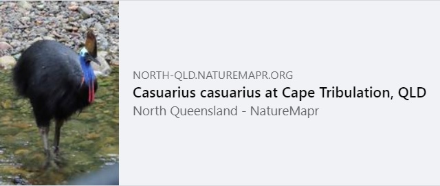 NatureMapr (@naturemapr) on Twitter photo Our thanks to ๐น๐ฏ๐ฟ๐ฎ๐ฑ๐น๐ฒ๐ for contributing only the second ever sighting of a ๐ฆ๐ผ๐๐๐ต๐ฒ๐ฟ๐ป ๐๐ฎ๐๐๐ผ๐๐ฎ๐ฟ๐ or ๐๐ข๐ด๐ถ๐ข๐ณ๐ช๐ถ๐ด ๐ค๐ข๐ด๐ถ๐ข๐ณ๐ช๐ถ๐ด to NatureMapr ๐
north-qld.naturemapr.org/sightings/4584โฆ
#NatureMapr #citizenscience #birdwatching Our thanks to ๐น๐ฏ๐ฟ๐ฎ๐ฑ๐น๐ฒ๐ for contributing only the second ever sighting of a ๐ฆ๐ผ๐๐๐ต๐ฒ๐ฟ๐ป ๐๐ฎ๐๐๐ผ๐๐ฎ๐ฟ๐ or ๐๐ข๐ด๐ถ๐ข๐ณ๐ช๐ถ๐ด ๐ค๐ข๐ด๐ถ๐ข๐ณ๐ช๐ถ๐ด to NatureMapr ๐
north-qld.naturemapr.org/sightings/4584โฆ
#NatureMapr #citizenscience #birdwatching