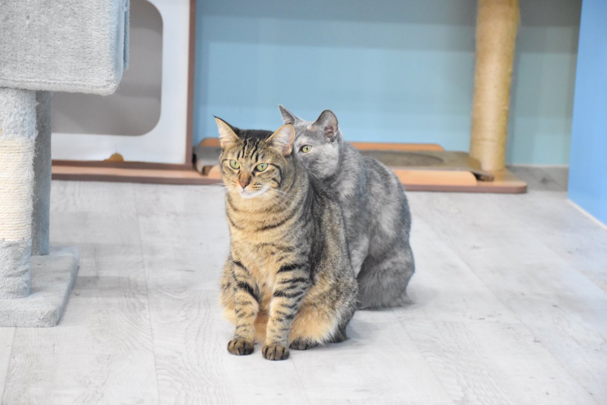 ふじみ野店】 本日もご来店ありがとうございました！ かなちゃんの後ろ