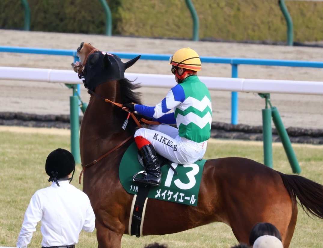 メイケイエールスタニングローズアイドルホースドレスorマントS