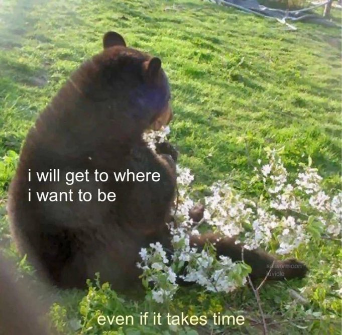 ✧ (@northstardoll) on Twitter photo 