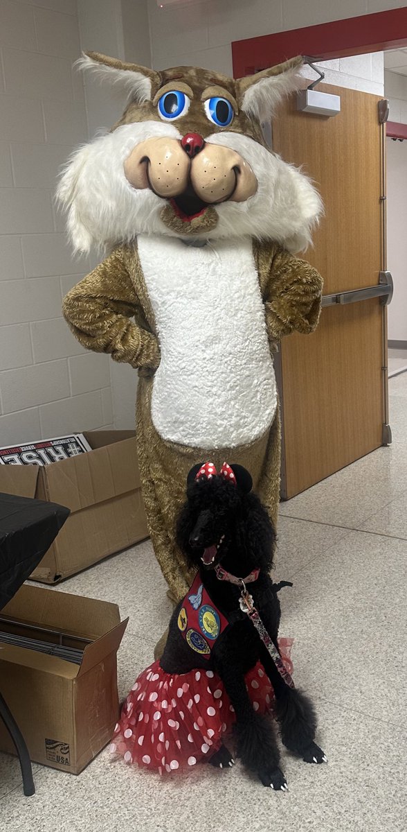 Amanda Price M.Ed_KES tweet media