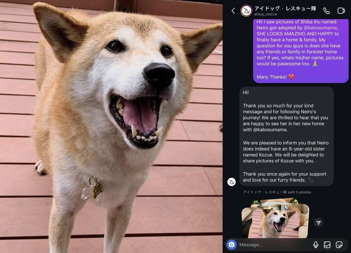 RoyaleKingEth's tweet image. Did you know $Neiro has one actual biological sister?

Her name is $Kozue @Kozueoneth (600k mc)

Study Siblings and help them meet again in the top 200 🐕💞🐕