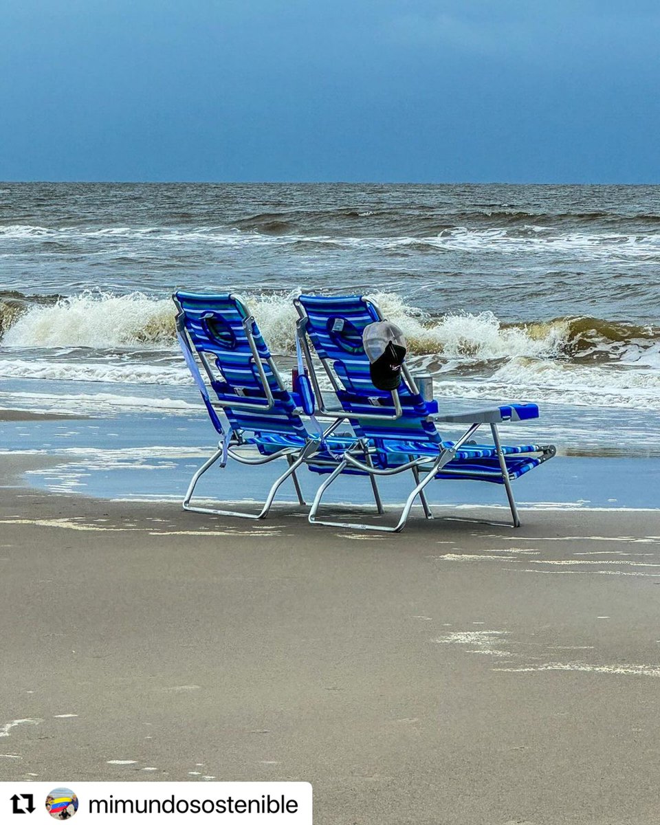 MundoVerde_SOS's tweet photo. Al final del día de ayer llegó la tormenta que presagiaba al huracán Debby, pero gracias a la legendaria“turtle woman” Ella Hill de Oak Island nos salvamos de todo peligro 🙏🏼🐢💕
#DEBBY2024 https://t.co/oCaMIn4mUa