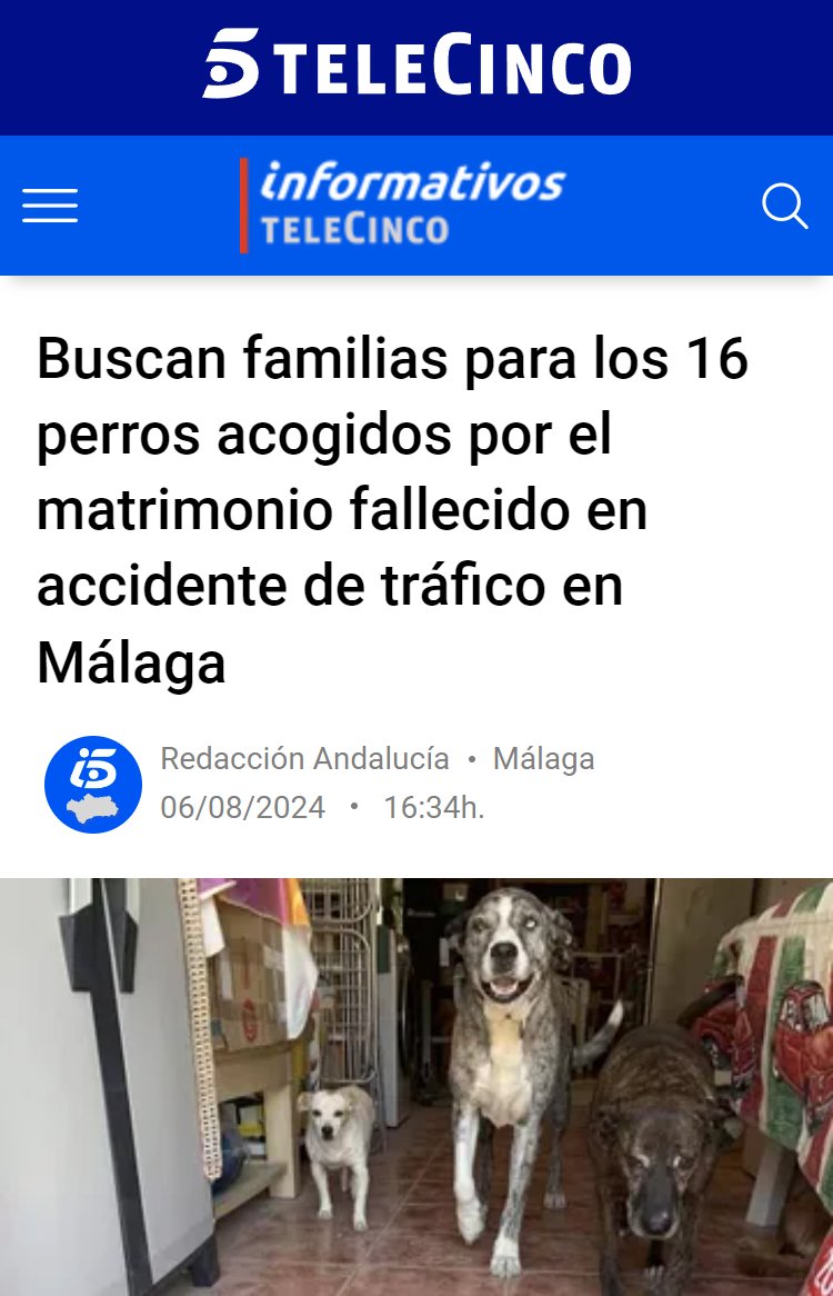 Andreea y su marido han perdido la vida en un terrible accidente de tráfico, dejando sin responsables a los 16 perros que tenían acogidos.

Nuestro más sincero pésame a la familia de estos héroes por los animales, los tenemos en nuestros corazones.

Se buscan familias para estos
