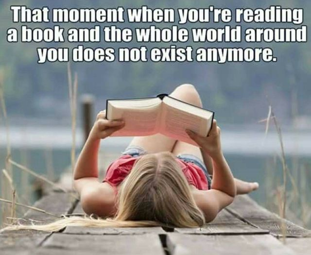 RTfromIL's tweet image. #IAmReading #books #booksOnX