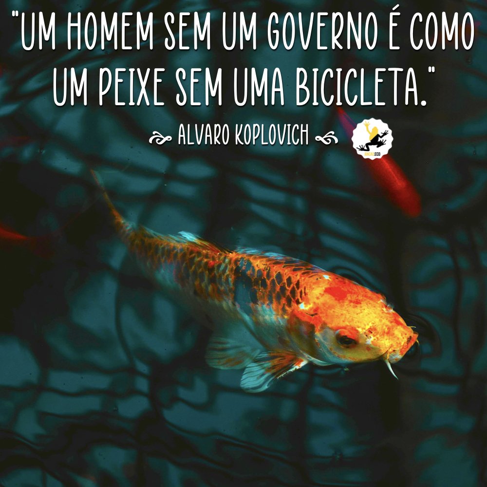 AncapEco's tweet image. 