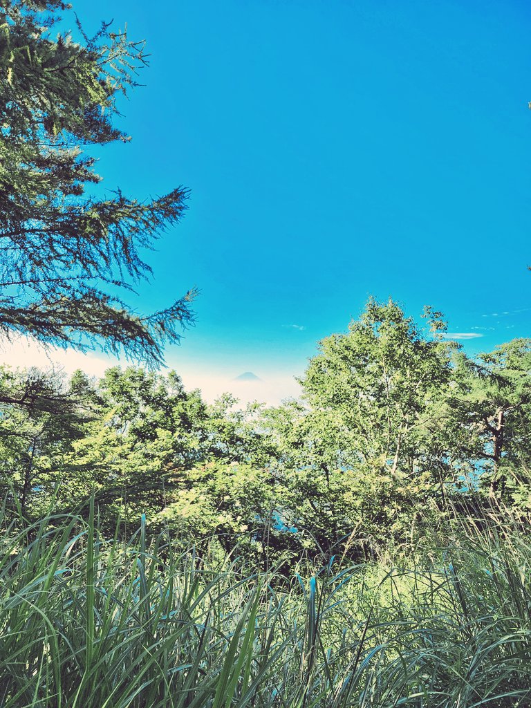 171maru's tweet photo. テン泊登山1日目
観音平→雲海→押手川→青年小屋
雲海で富士山⛰️テン泊装備で先輩とヒィヒィ言いながら遠い飲み屋着いて一番搾りは最高🍻
#テン泊 #登山 #青年小屋 https://t.co/CEvr7FFKWE