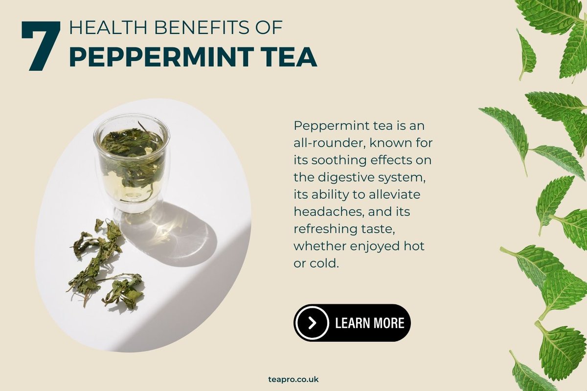 TeaProUK's tweet image. Discover 7 interesting peppermint tea health benefits!

From its ability to ease tension headaches to a digestion boost, this tea has it all.
Explore the science behind each benefit now in our blog: teapro.co.uk/peppermint-tea…
#teapro #teahealth #pepperminttea