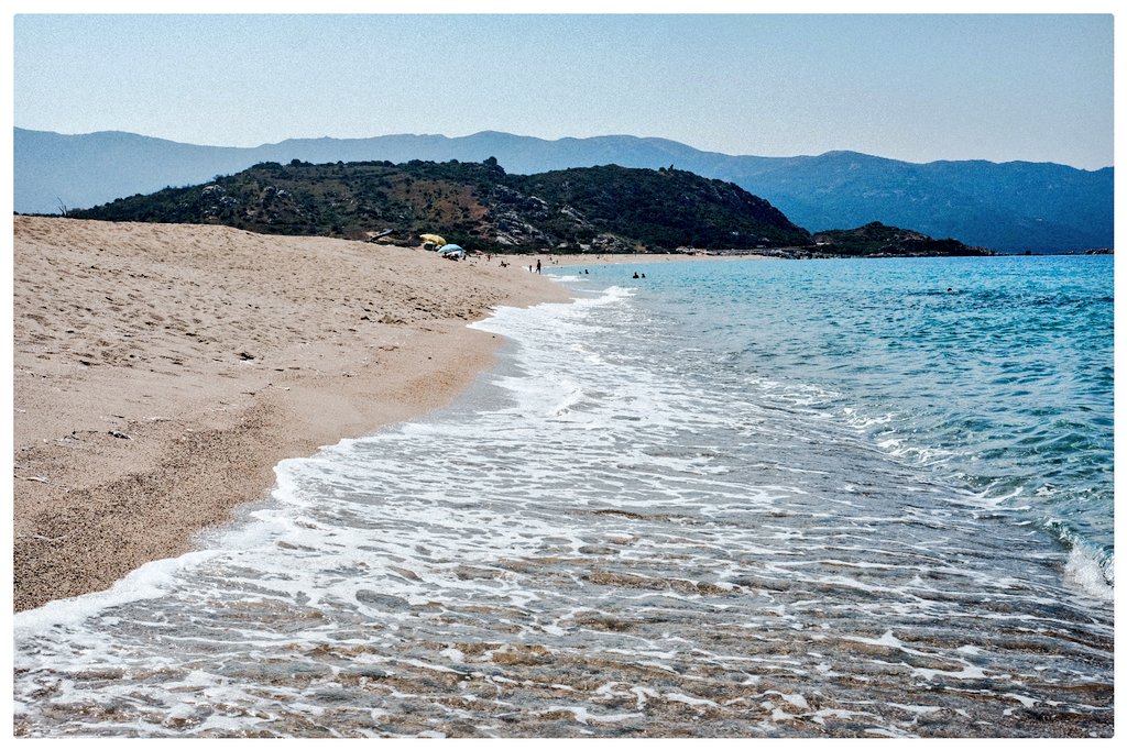 VincentMigeat's tweet photo. La légendaire surpopulation de la plage du #Liamone, environs de Tiuccia, #Corse août 2024. https://t.co/If0UidrCYx