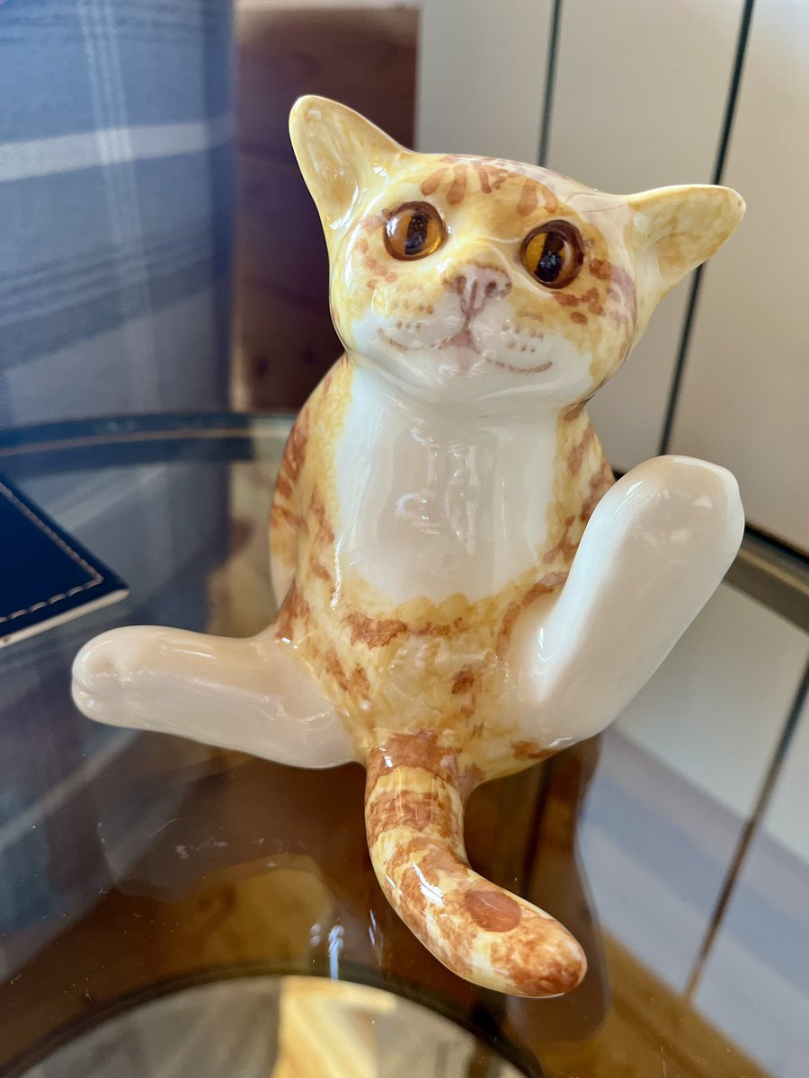 The female Slavea is turning into a mad 🐱 cat women who does not have a cat. 🐱 look what she bought