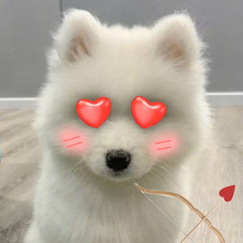 taikiSol's tweet photo. learn to love me❤️ https://t.co/u3J9UKCPay