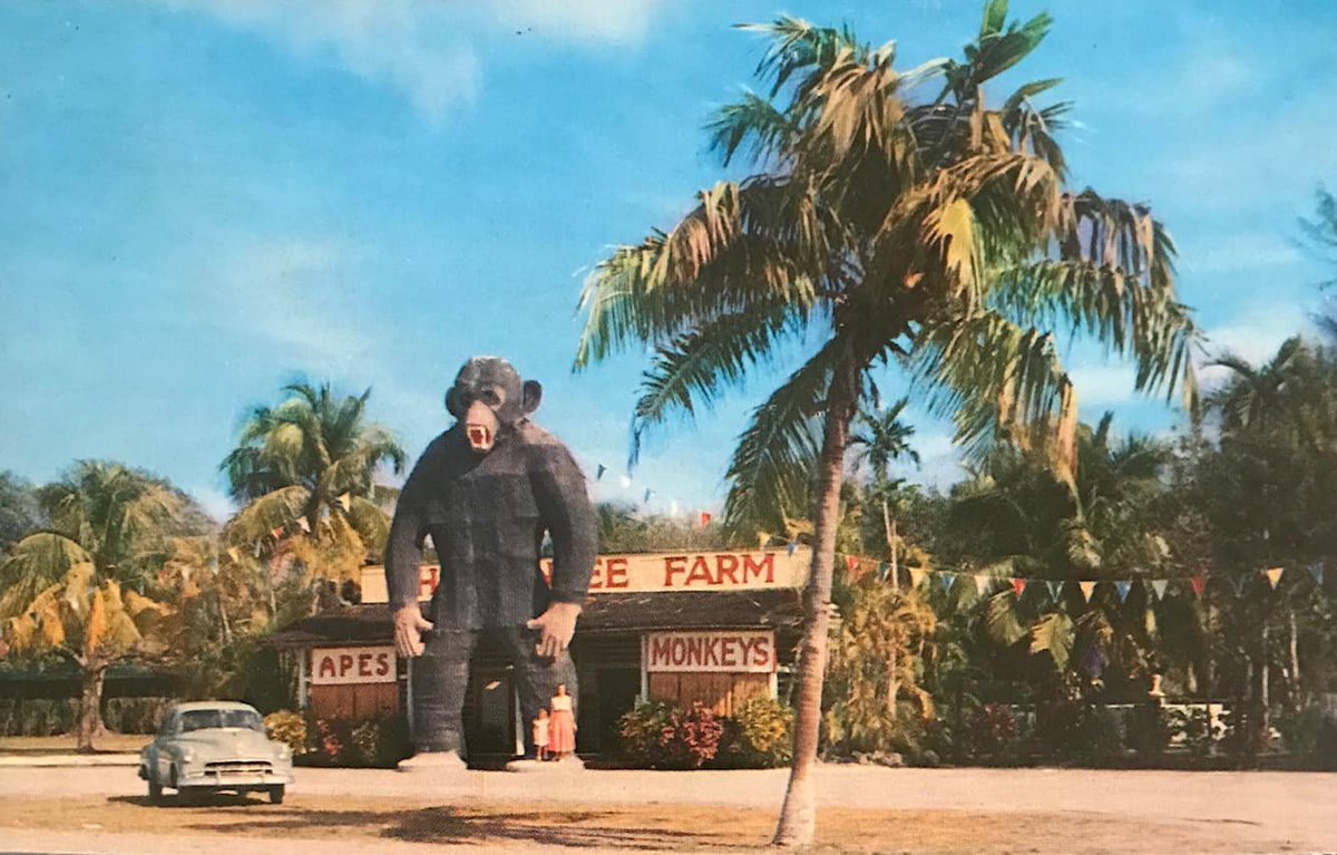 RealGilbertACP tweet media