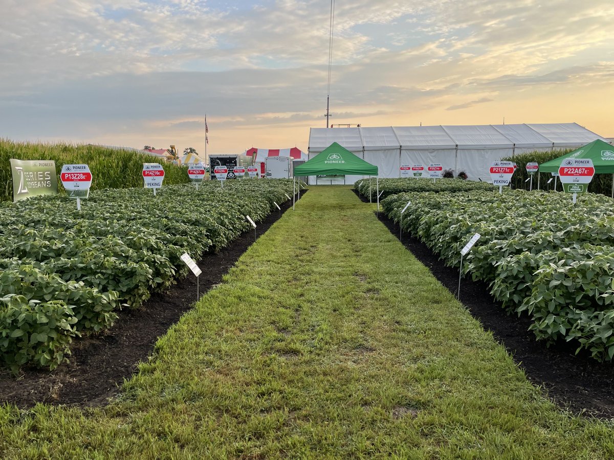 Day 2 of Farmfest near Redwood Falls, MN today. Bring the family and hear about that is new from the #1 corn and #1 soybean brand…Pioneer! 🌽 🌱