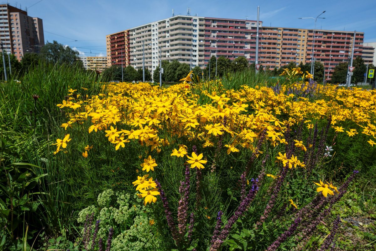 Ostrava is one of the💚 greenest Czech cities. 

Although woodland makes up just 1️⃣ 2️⃣ % of the city’s total area, Ostrava is working intensively to create more green spaces 🌳🌼🌾 – which are a key tool in combating climate change. 
👀1url.cz/M1HAu