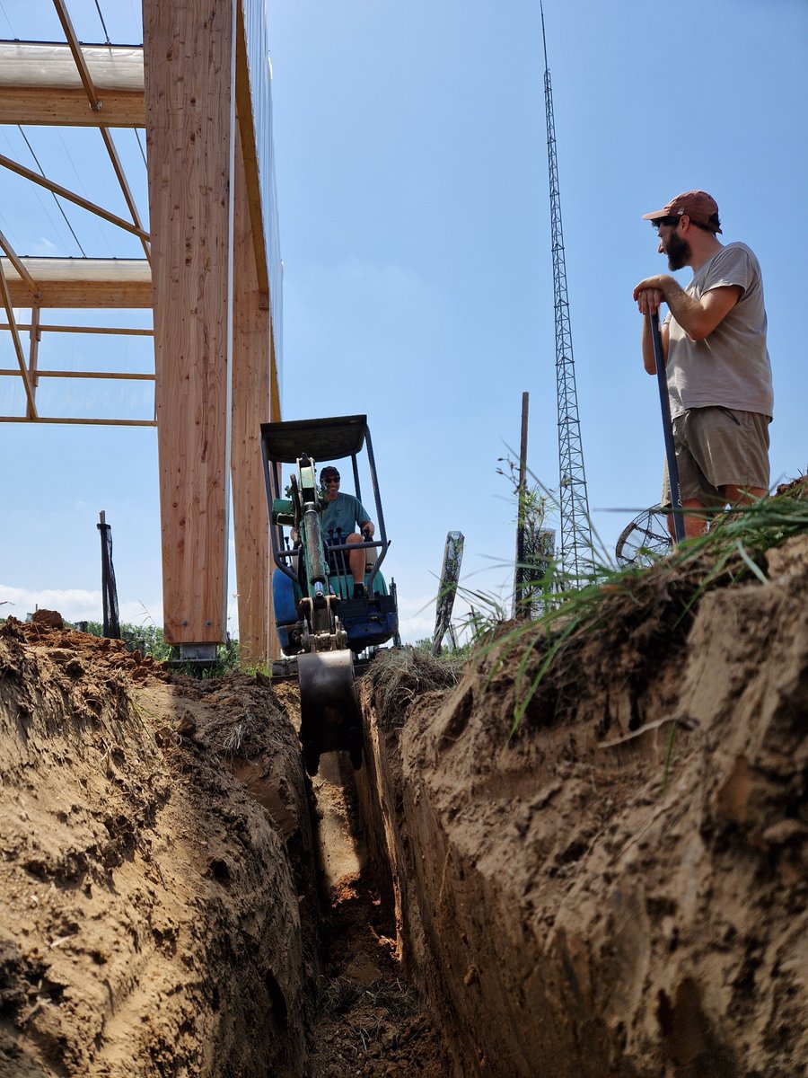 Forêt expérimentale de l'Université de Bordeaux tweet media