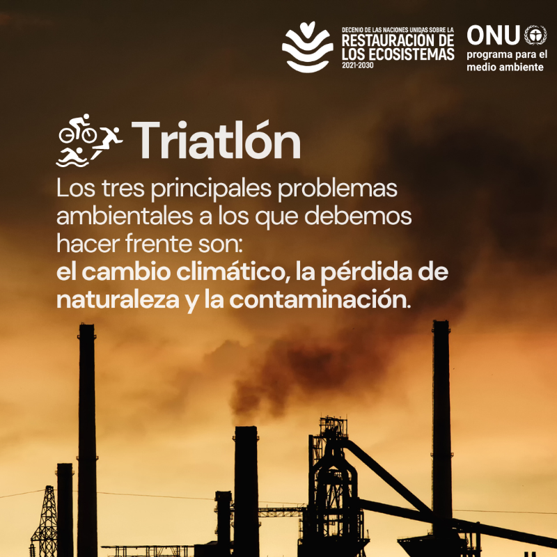 unep_espanol's tweet photo. Si proteger y restaurar el medio ambiente fuera una disciplina olímpica... 

🥇 ¿quién se llevaría el oro?

En plenos #JuegosOlímpicos @Paris2024, echa un vistazo a algunas de las especies y ecosistemas que van a la cabeza de la protección del planeta ante la triple crisis 🌎.