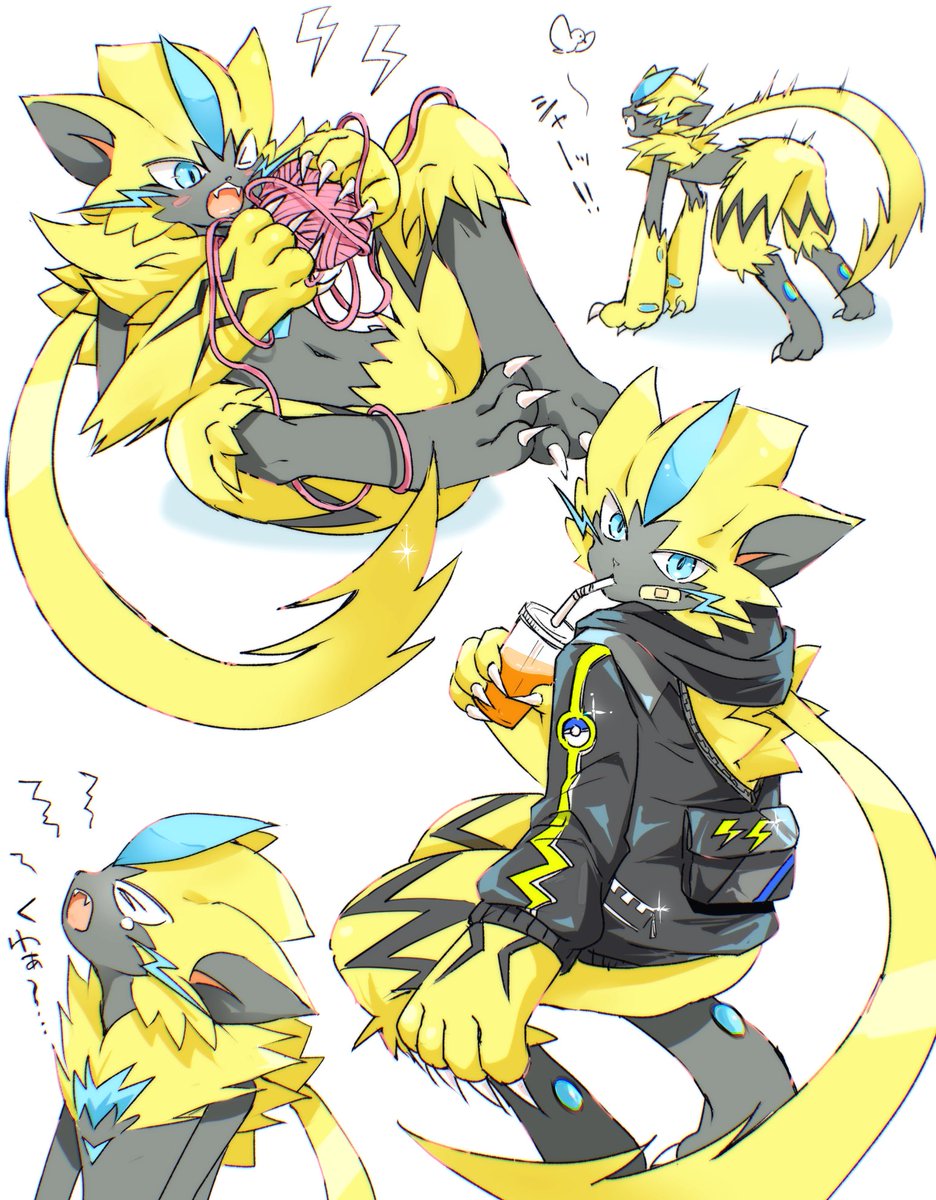 博多のくま tweet media