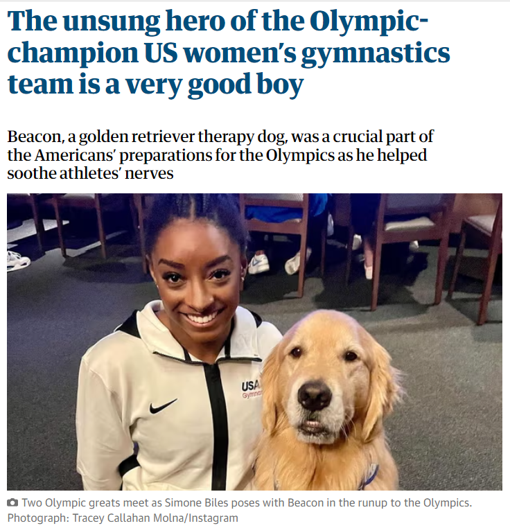 PetsAsTherapyUK's tweet photo. Because everyone deserves a Pets As Therapy Dog.
@TeamGB we are waiting for your email! ๐๐พ๐๏ธ
https://t.co/bzkRETlidb
#PetsAsTherapy #TeamGB #Paris2024 #TherapyAnimals #TherapyDogs #PATDogs @guardian @Simone_Biles https://t.co/HtNDLK5l5E