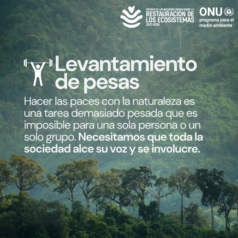 unep_espanol's tweet photo. Si proteger y restaurar el medio ambiente fuera una disciplina olímpica... 

🥇 ¿quién se llevaría el oro?

En plenos #JuegosOlímpicos @Paris2024, echa un vistazo a algunas de las especies y ecosistemas que van a la cabeza de la protección del planeta ante la triple crisis 🌎.