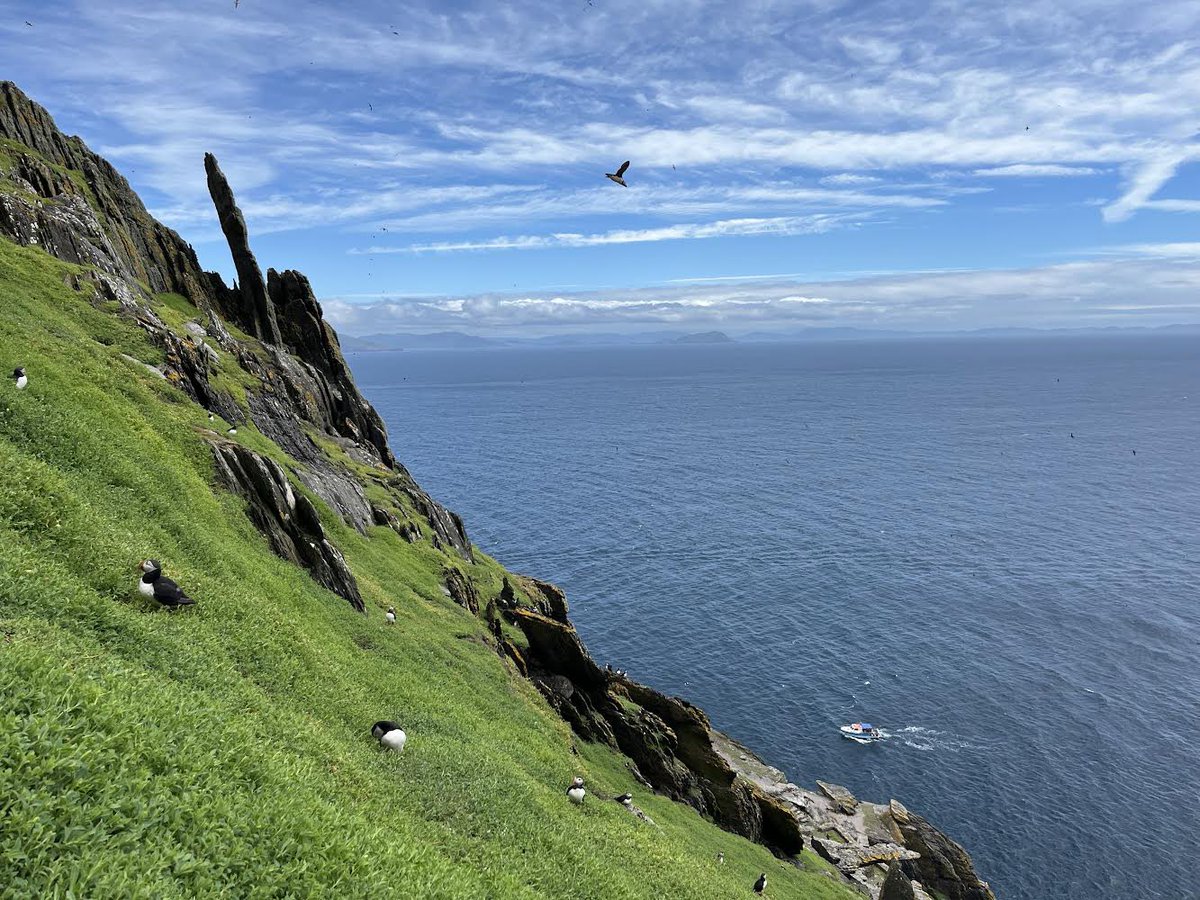 David Gray tweet media