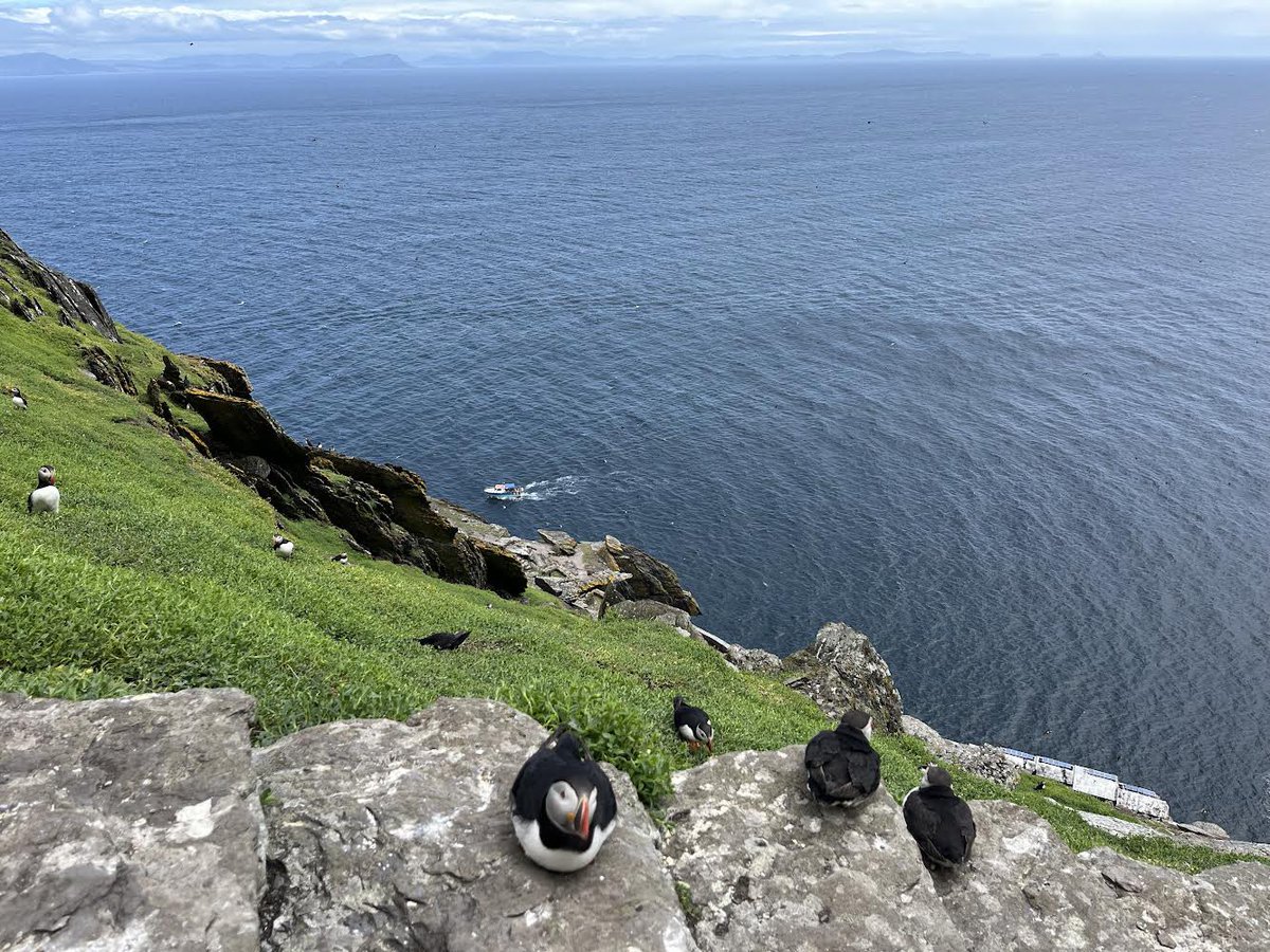 David Gray tweet media