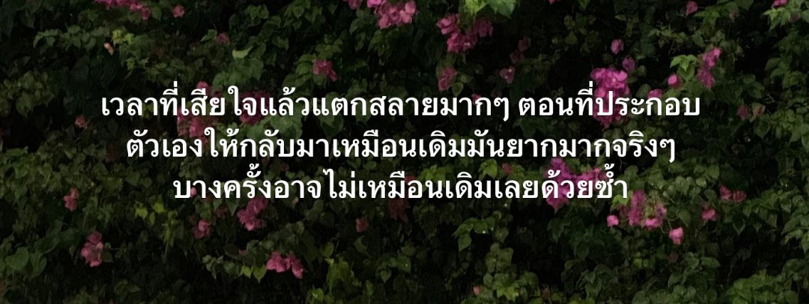 小 tweet media
