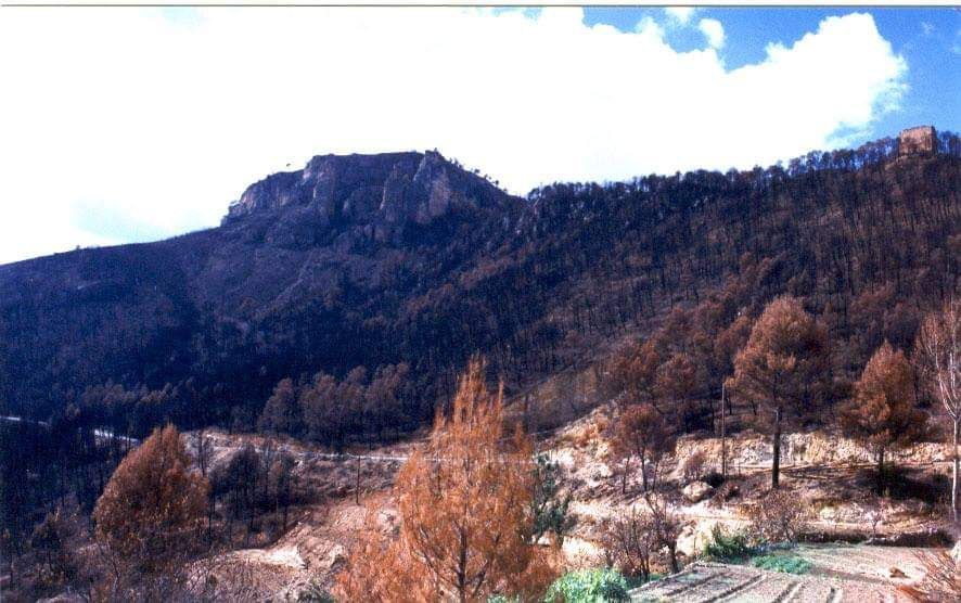 Hoy hace 30 años del incendio forestal más grande  del municipio #Yeste 
#IFYESTE1994 14.200 ha
1994 año de los GIF en España 93 que quemaron + del 76 % de las hectáreas afectadas ese año. 
Desde entonces decidí dedicarme a los #IIFF 
Hoy en C.C.E #Molinicos <a href="/Plan_INFOCAM/">INFOCAM</a>
👩‍🚒🔥🚁