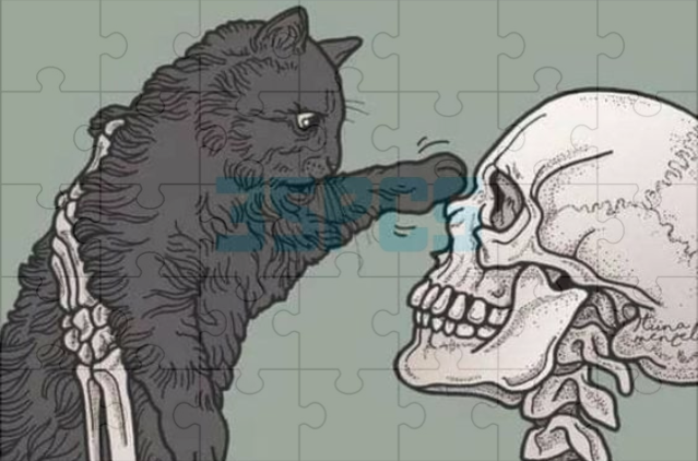 echoinkstore's tweet photo. Piece together a mystery with our 'Ethereal Encounter' Puzzle. Perfect for an enchanted evening at home. 🧩🐱 https://t.co/GPBYIQCyym
#EchoInk #PuzzleNight https://t.co/1Vh0aFrDET