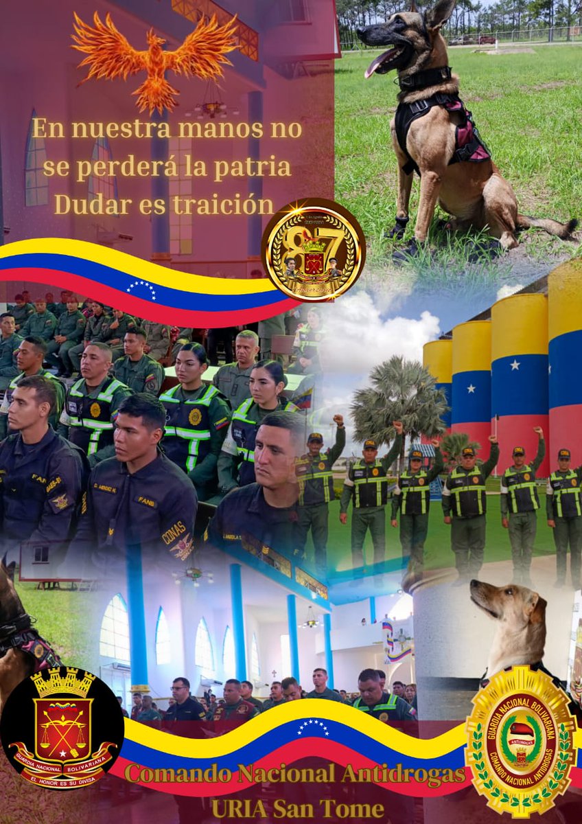 CnaAntidrogas's tweet photo. Seguimos avanzando firmemente en la defensa integral de nuestra Patria

Comando Nacional Antidrogas GNB
Sinónimo de Excelencia 
#7agosto https://t.co/AAW07YQ1zg