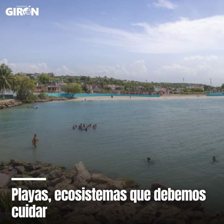 Con la concurrencia a mas playas vienen también los desechos. Latas de refresco y cerveza, botellas, cáscaras de mamoncillos y hasta culeros desechables pueden verse flotando alrededor de los bañistas. 

En #PeriodicoGiron de #Matanzas:
giron.cu/2024/08/05/pla…