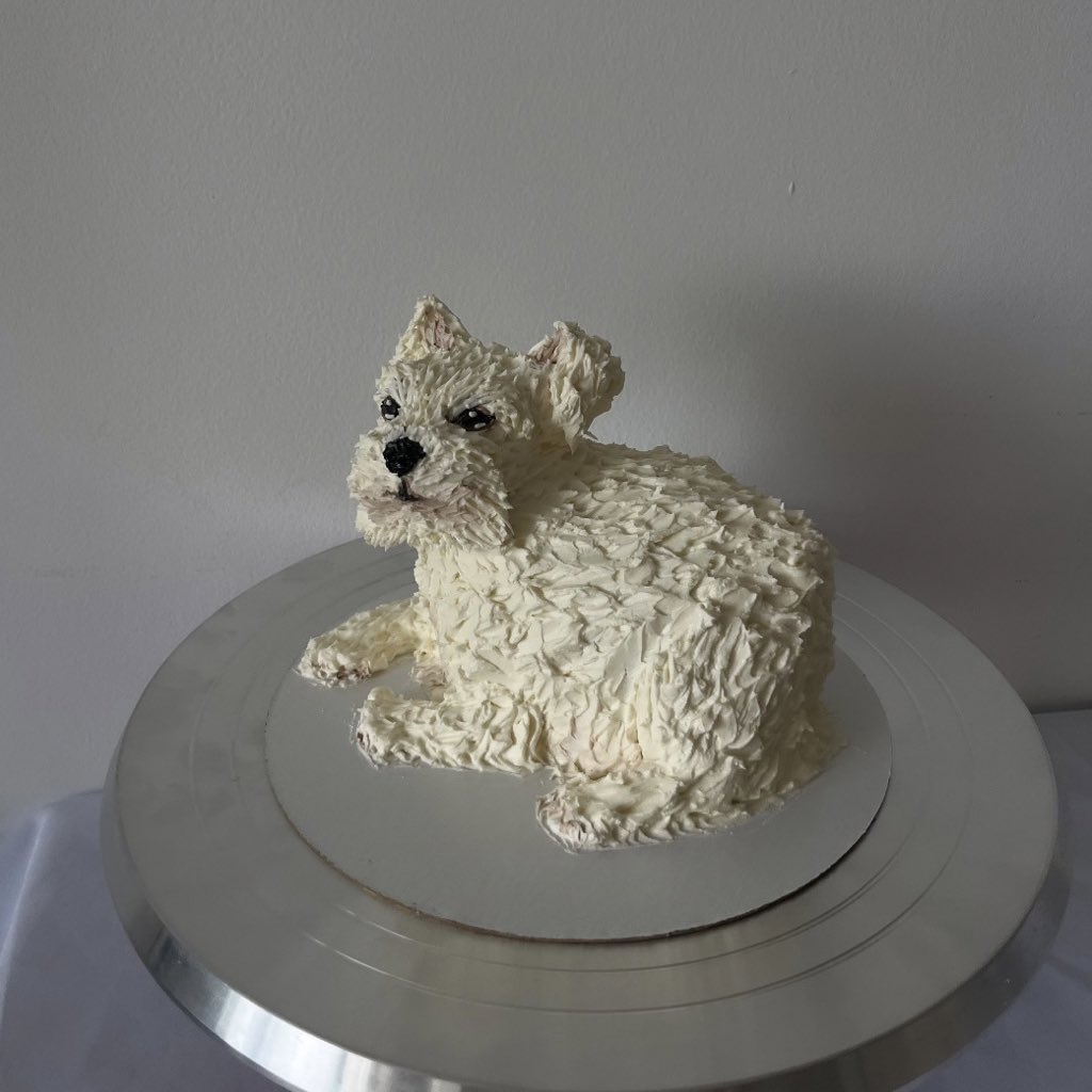 шoкс ‍♡ tweet media