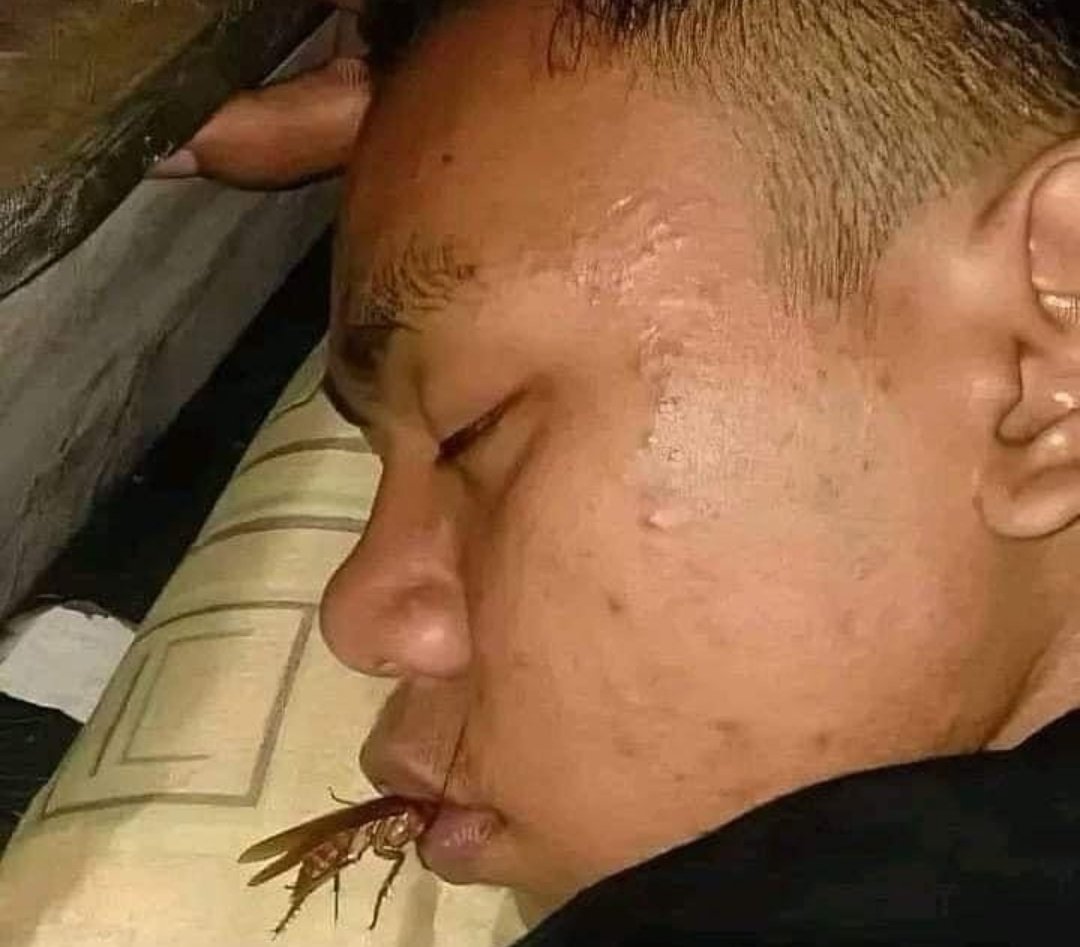 goodnight and sleep tight dont let the bed bugs bite 😌💗