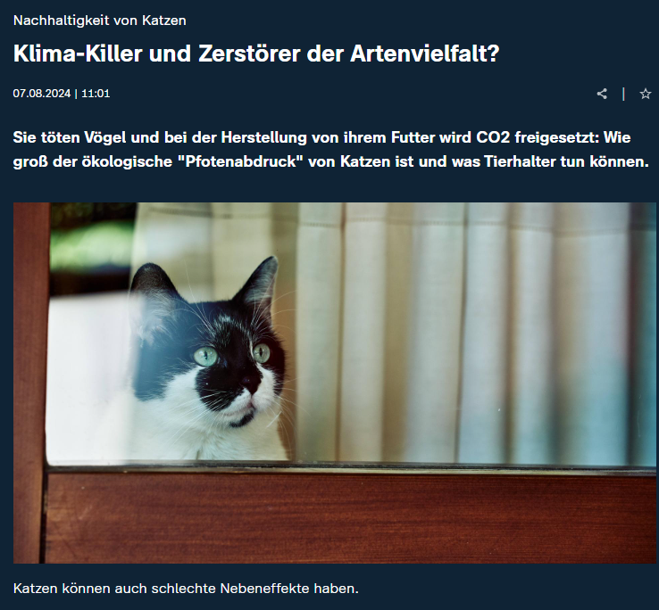 tkdmatze's tweet photo. Katzen als Klimakiller? Ich kann das bald alles nicht mehr. https://t.co/28P48lyleM