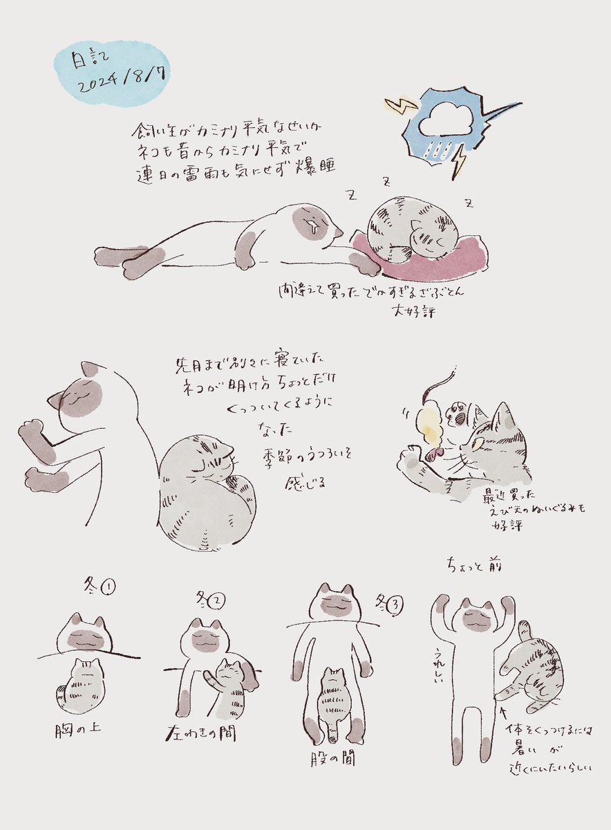 最近の日記です 